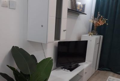 Garsonieră decomandată în Lujerului - 12