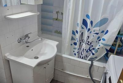 Apartament cu 2 camere decomandat, mobilat în Craiovița Nouă - 7