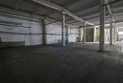 Spațiu industrial, de 6,500 mp, în Nord - 3