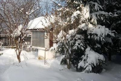Casă cu 3 camere în Bretea Mureșană - 5
