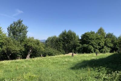 Spațiu comercial, în Ceahlău - 3