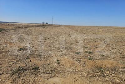 Teren de 3789 mp, în Central