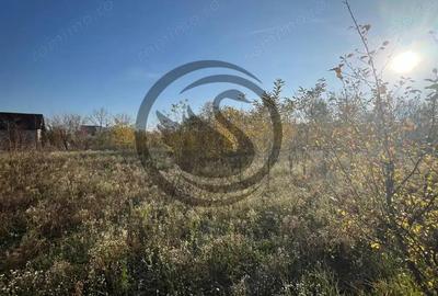 Teren intravilan de vanzare | 12.650 mp | Ghirdoveni, | Comision 0% - 6