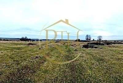 Teren agricol extravilan de 25000 mp, în Secaș - 12