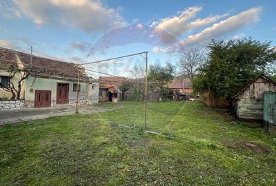 Casă cu 2 camere cu Teren 703 Mp în Gura Râului - 2