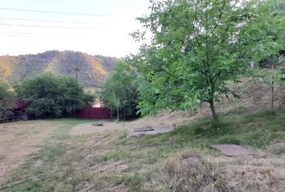 Casa in Zlatna - 5