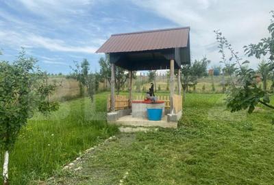 Teren extravilan 10 ari cu Cabana de 45 mp - 18