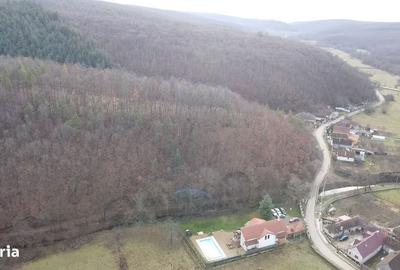 Casă cu 4 camere în Cladova - 2