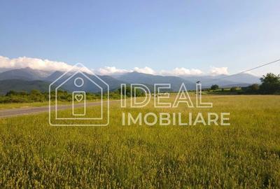 Teren agricol extravilan de 1800 mp, în Cârțișoara - 4