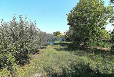 Casa de vanzare, Bordenii Mari Prahova - 5