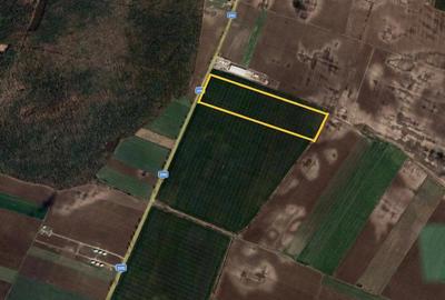 Teren de 52500 mp, în Ștefăneștii de Jos - 3