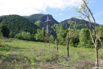 Teren în Malaia - 7