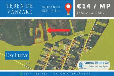 Teren de 9306 mp, în Ineu - 2