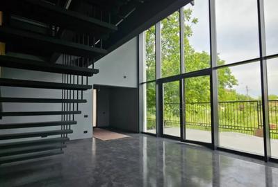 Casă cu 4 camere cu Teren 696 Mp în Buftea - 4