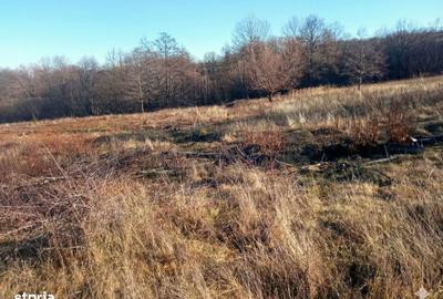 Teren de 5000 mp, în Central - 2