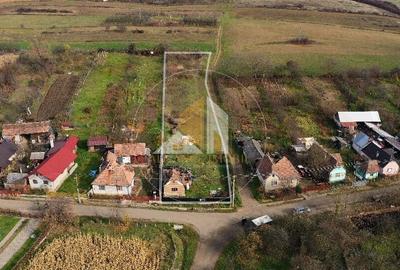 Teren intravilan de vanzare – Dipsa - 3