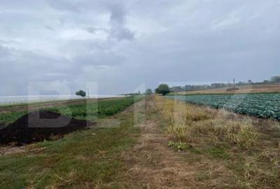 Teren de 4700 mp, în Central