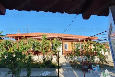 Casa renovata extinsa si teren 5470 mp Pantelimon Jud Constanta - 2