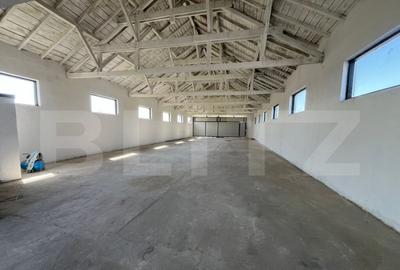 ???? Hala industriala 370 mp + teren 10.000 mp | DN72 Suta - 6