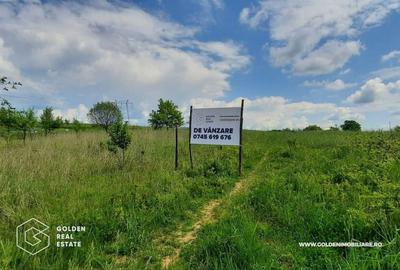 Teren Construcții intravilan de 2880 mp, în Exterior Est - 1