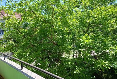 Apartament cu 2 camere decomandat în Ultracentral - 6