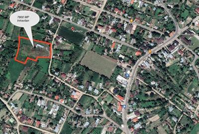 Teren de 7800 mp, în Central - 5