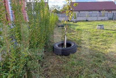 Teren de 703 mp, în Sânmihaiu German - 2