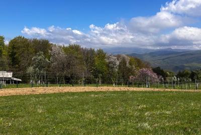 Casă cu 3 camere în Stăncilova - 5