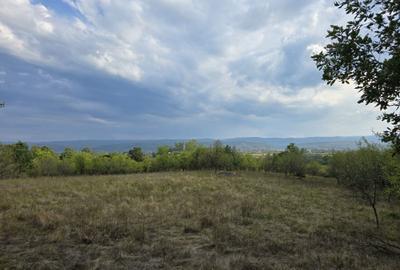 Teren de 7547 mp, în Ulieș - 4