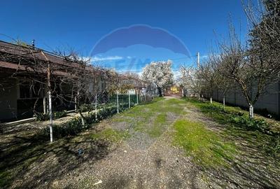 Casă cu 3 camere cu Teren 1000 Mp în Bâldana - 7