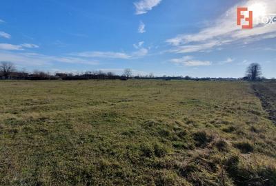 Teren intravilan 665 mp cu Puz aprobat - Padureni - 3