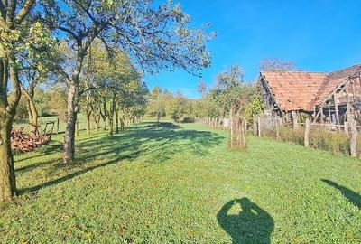 Casa generoasa mobilat utilata Sinca Noua - 18