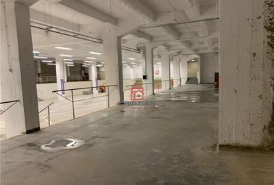 Depozit/hala/spatiu industrial Politehnica - Apaca - 4