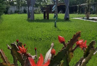 Casa noua parter Malu Mare, Dolj - 8