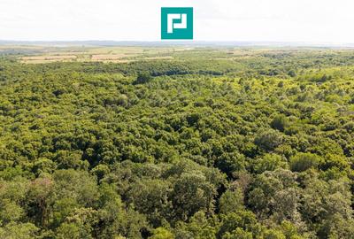 Teren agricol extravilan de 22900 mp, în Exterior Sud - 5