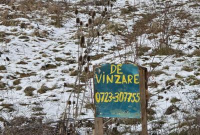 Teren intrav, langa Cart RIVIERA , 1 HA , utilitati , sosea - 9