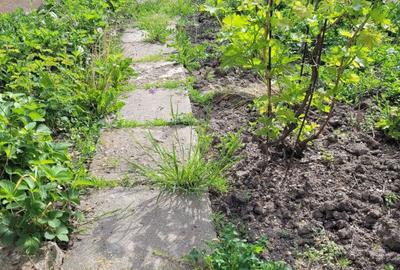 Teren de 2712 mp, în Motoci - 7