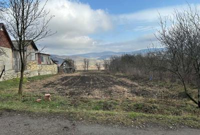 Spațiu comercial, în Șoimeni - 5