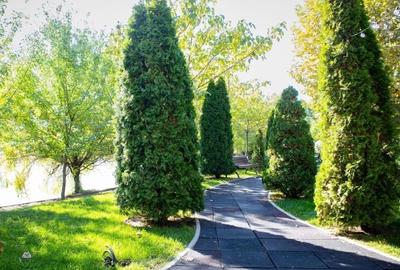 Apartament 3 camere mobilat • 102mp utili • Laguna Residence• Direct proprietar - 16