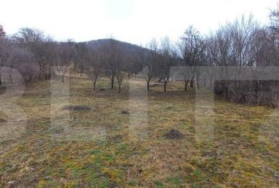 Teren de 1500 mp, în Central