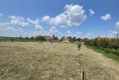 Casa  cu teren de 40 ari in localitatea Gelu - 4