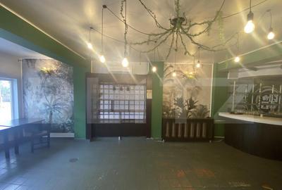 Cladire comerciala, 377 mp, zona Bulevardul Gheorghe Chitu - 2