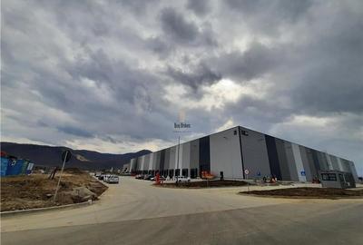 Spatiu Industrial - 3500 mp - Logistica - Productie - Depozitare - Distributie - 13