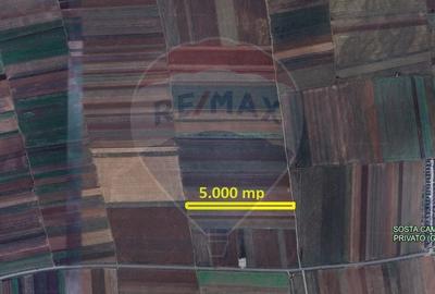 Teren agricol extravilan de 5000 mp, în Tărlungeni - 3