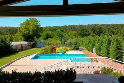 BRANESTI-VILA SUPERBISSIMA,LA LAC,PISCINA,FANTASTICA,UNICAT,700000 EURO - 8