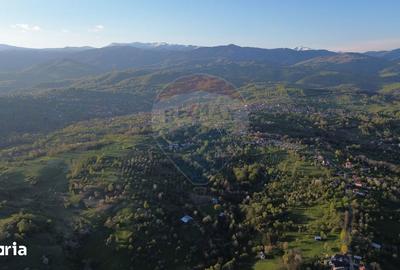 Teren de 15459 mp, în Bughea de Sus - 3