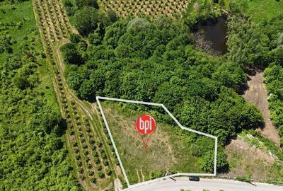 Teren Construcții intravilan de 1313 mp, în Rădășeni - 9