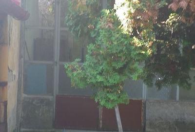 Casă cu 3 camere în Central - 8
