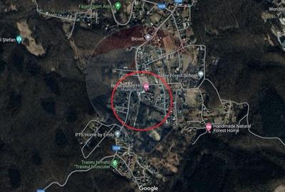 Teren de vanzare in Faget! 3600 MP! PUZ Aprobat! - 2