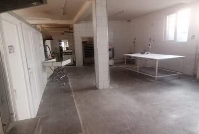 Spatiu ideal PRODUCTIE, 287 mp. , curte generoasa - 3